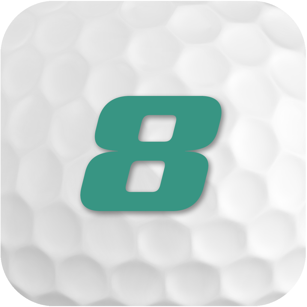 hole 08 ball